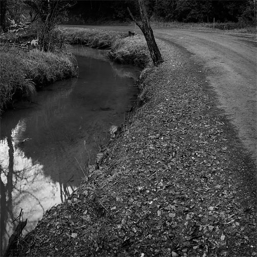 Downstream, Whangateau  Richard Smallfield 2010